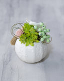 お供え花/仏花・胡蝶蘭アレンジ/プリザーブドフラワー 菊