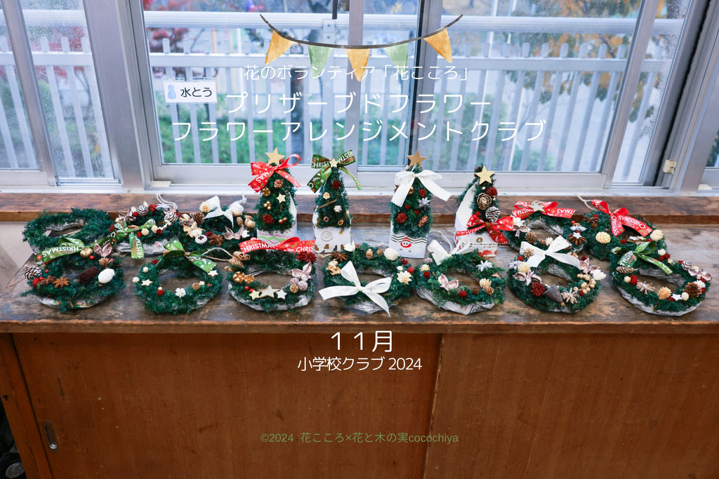 2024年１１月小学校クラブ「クリスマスリース、クリスマスツリー作り」花のボランテイア「花こころ」活動記録♪