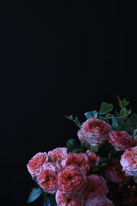 今道しげみ先生の「リビングフォトレッスン」での写真♪堀木園芸さんの薔薇『アウタートレック』