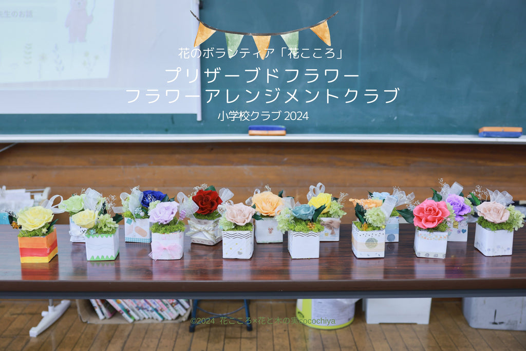 ２０２４年８月の振り返り・小学校クラブ講師ボランティア×花のボランティア「花こころ」
