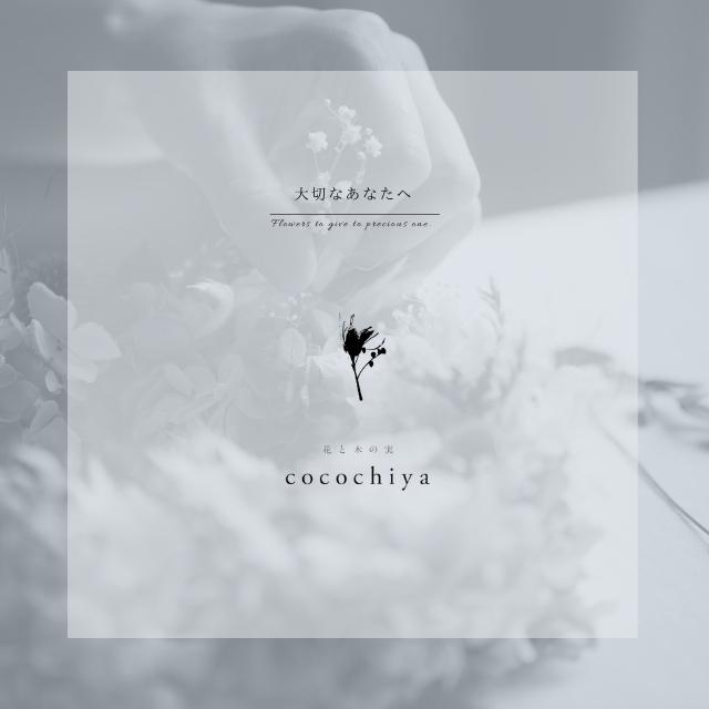 ご挨拶。花と木の実cocochiya