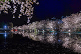夜桜と池フォト＆桜と星フォトレッスン