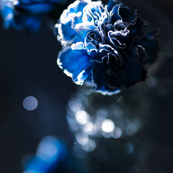 レベルアップ・フォトレッスン/ミラーレス一眼レフカメラ/対面マンツーマンレッスン