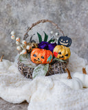 花育・キッズフラワーレッスン・月々5,000円/毎月１回｜一回のみ体験5,500円（初回）