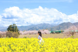 桜と菜の花 お出かけフォト