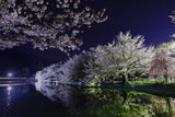 夜桜と池フォト＆桜と星フォトレッスン