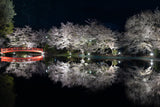 夜桜と池フォト＆桜と星フォトレッスン