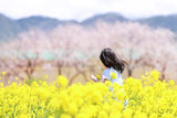 桜と菜の花 お出かけフォト