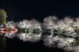 夜桜と池フォト＆桜と星フォトレッスン