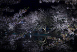 夜桜と池フォト＆桜と星フォトレッスン