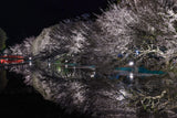 夜桜と池フォト＆桜と星フォトレッスン