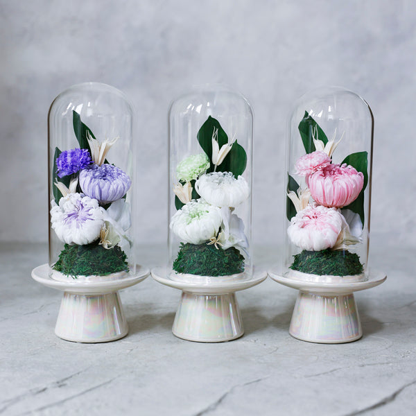 寄り添い菊/ガラスドーム仏花・お悔やみのお花・ボックス入り/お盆のお供え(新盆・初盆)