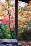 紅葉とお寺のお出かけフォトレッスン！/撮影＆レタッチ＆instagramリールつくり！ミラーレス一眼レフカメラ/マンツーマンレッスン・初心者向け＆体験