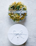 【数量限定】幸せ運ぶ鳥 ドイツつばめオーナメント付き ミモザのリース｜ドライフラワー｜春インテリア・ギフトに